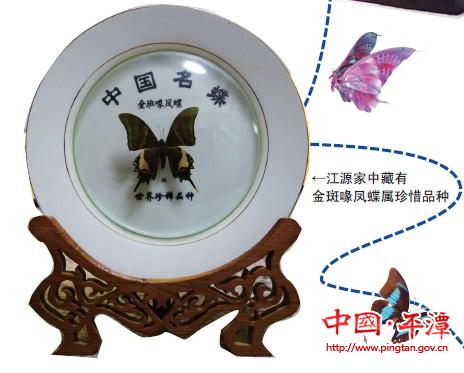 Butterfly painter to pass down skills