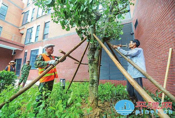 Construction resumes in Pingtan