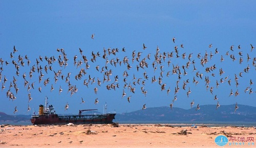 Sandy shores in Pingtan