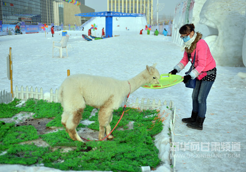 Lanzhou city opens its new ski resort