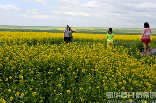 Explore rape flower landscape in Gansu