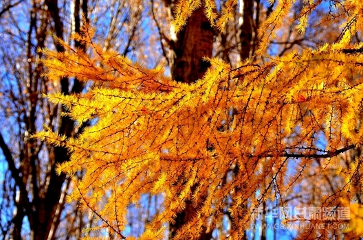 Picturesque scenes from NW China