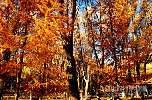 Picturesque scenes from NW China