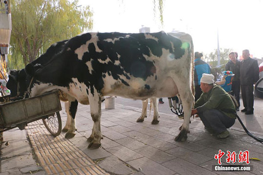 Buy your milk straight from the cow