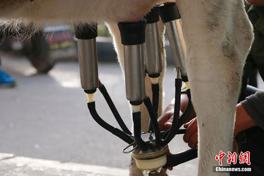Buy your milk straight from the cow