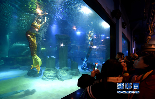 Lanzhou's first polar ocean world opens to the public