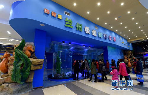Lanzhou's first polar ocean world opens to the public