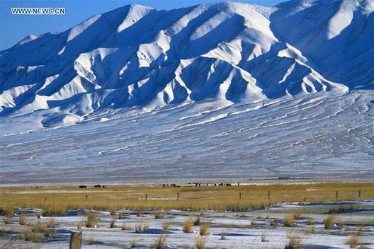 Scenery of snow-covered grassland in China's Gansu