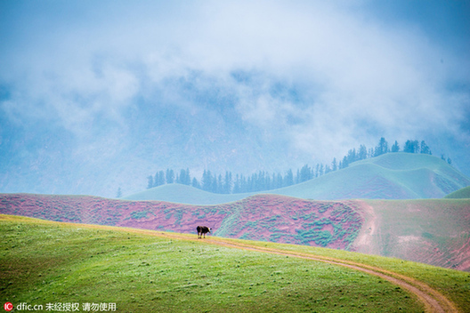 Qilian Mountains in summer: a land of heaven