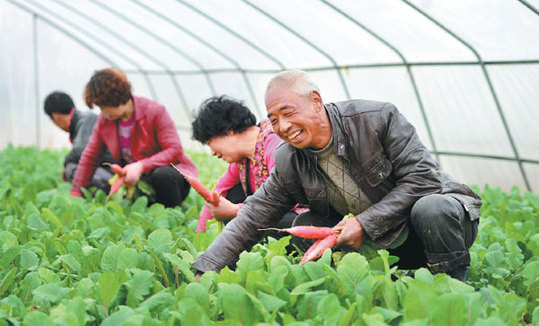 Making poverty history in one of China's poorest provinces
