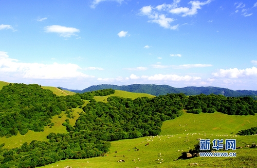 Something not to miss– a summer scenic spot in NW China's prairies