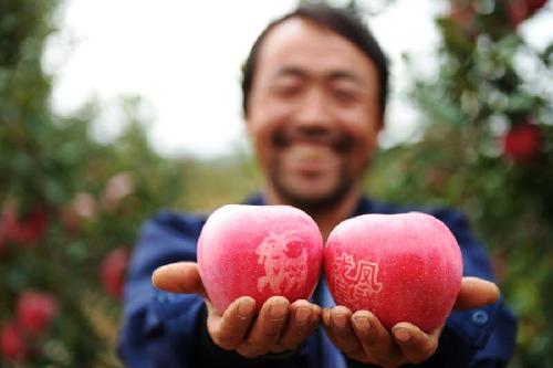 Pingliang produces 'creative apple products'