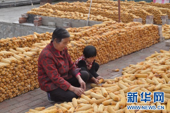 Gansu Gaolan implements poverty relief measures