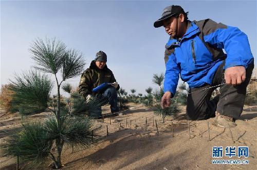 Gansu introduces new desert control methods