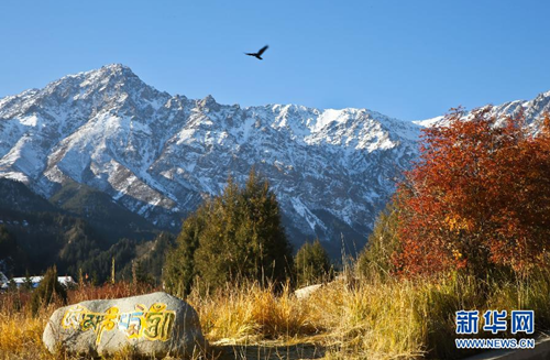 Autumn scenery of Qilian Mountain