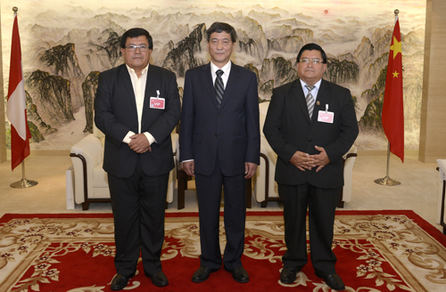 CGGC attended Central China Forum on International Production Capacity Cooperation