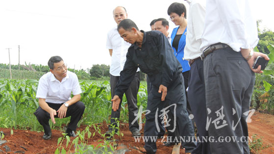 Mayor calls for speedy completion of garbage disposal projects