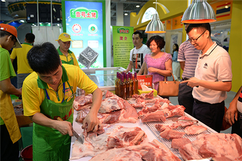 Visitors' view at the Zhanjiang-ASEAN Agriculture Trade Fair