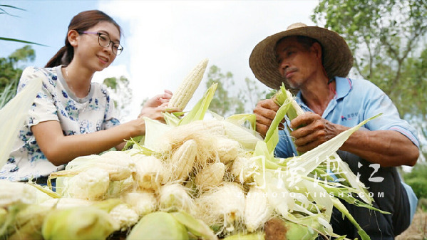 Farming gets beefed up in Zhanjiang