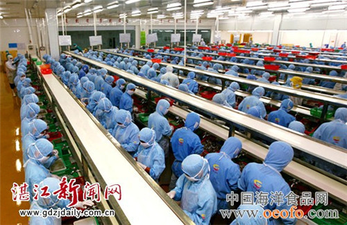 Zhanjiang's fishery industry maintains healthy development