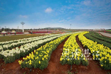 Farmland upgrades called for Zhanjiang
