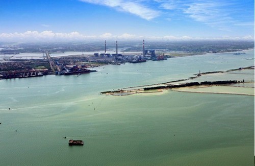 Zhanjiang bolters efforts on marine eco-protection