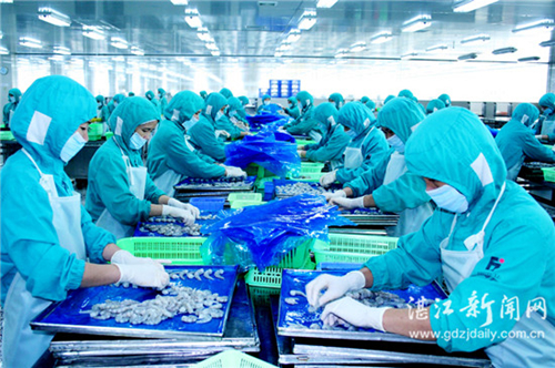 Zhanjiang aquatic exports sustain robust growth