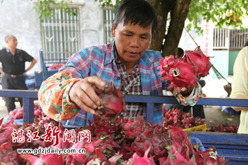 Jianxin: a town that defines agricultural leisure and rural tourism