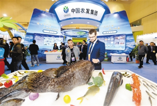 Zhanjiang connects with the world through B&R Initiative
