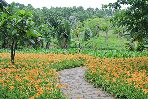 Nanguo Tropical Garden lauded for its livability
