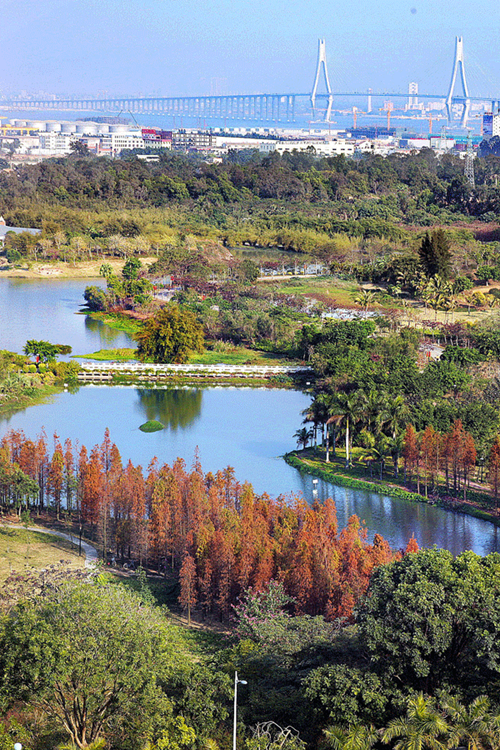 Nanguo Tropical Garden lauded for its livability