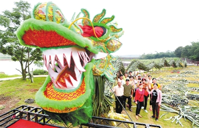 Zhanjiang enjoys tourist boom during May Day holiday