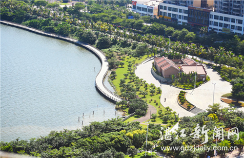 Zhanjiang seeks to become a sponge city