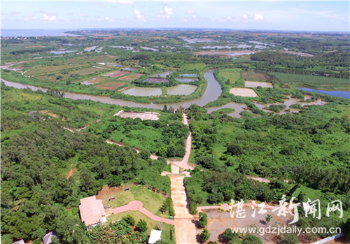 Zhanjiang pushes for ecological preservation
