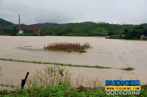 Rainstorm floods crop fields