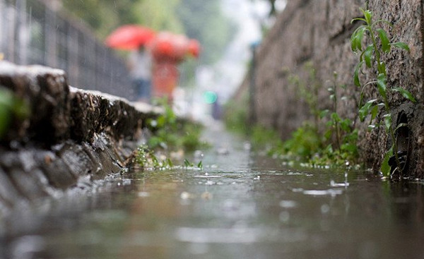 Culture Insider: 5 things you may not know about Rain Water