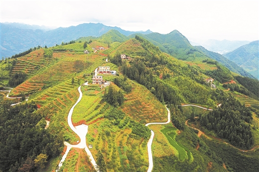 Hilly Tian'e model of modern specialty product farming