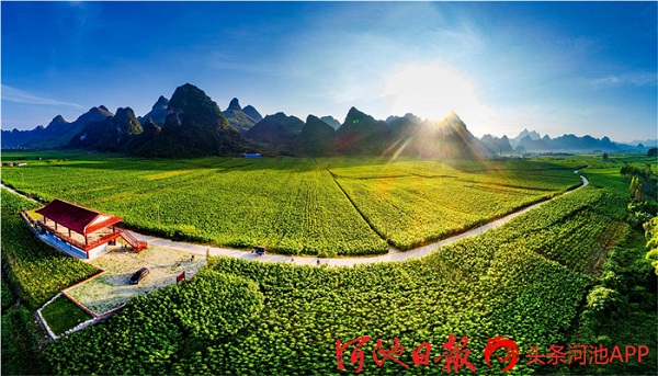 Hechi specialties popular at Guangxi agro-product fair