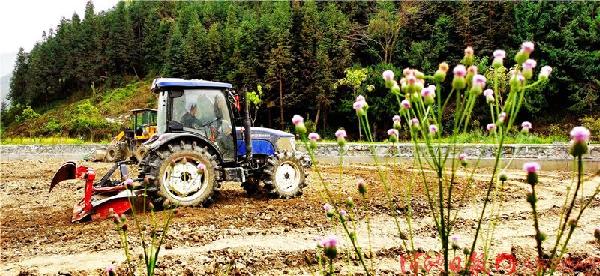 Picturesque spring plowing scenes in Nandan's countryside