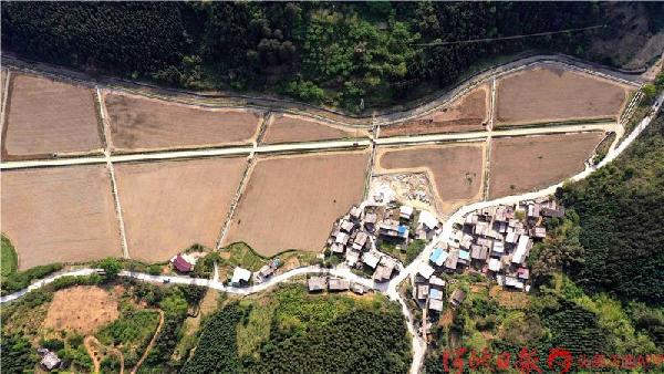 Picturesque spring plowing scenes in Nandan's countryside