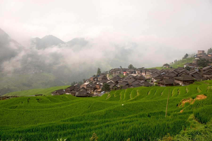 Refreshing summer scene of Jiabang terraced fields in Guizhou province