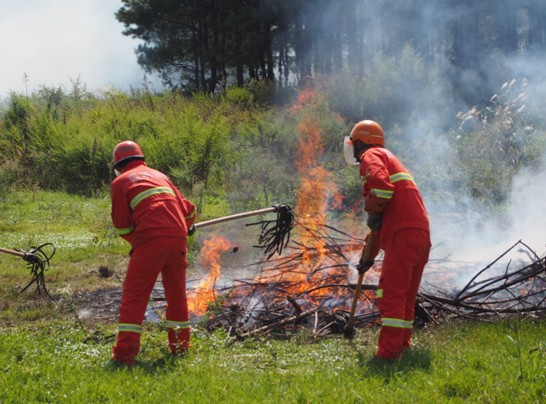Guiyang holds forest fire prevention drill