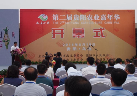Agriculture Carnival opens in Wudang