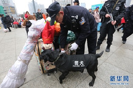 Police dog works to keep public safe during chunyun