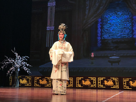 Peking Opera amateurs flaunt voices in Guiyang