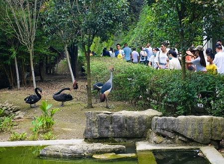 Guiyang becomes tourist hot spot during summer months