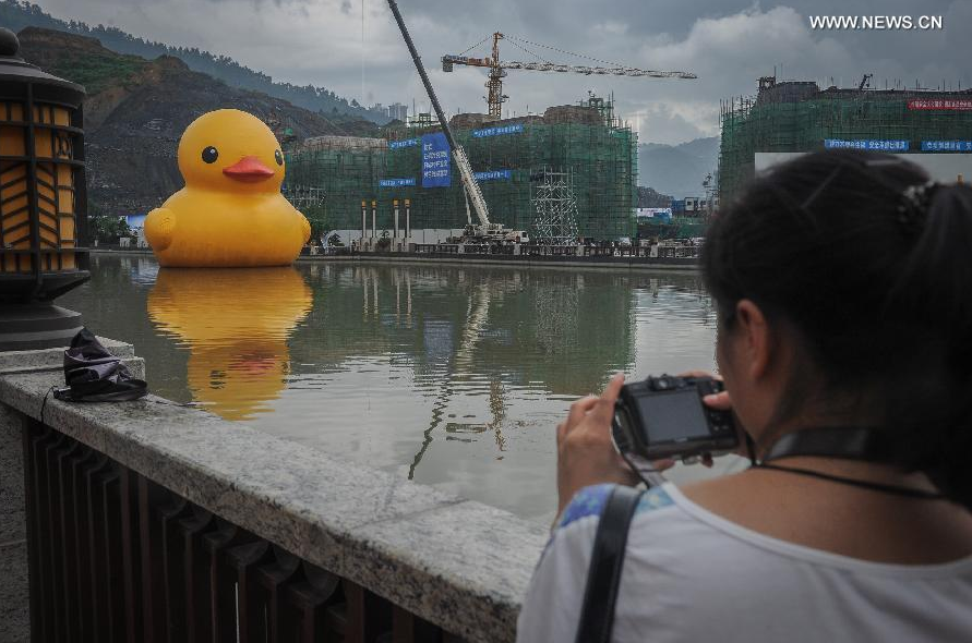 Giant yellow rubber duck to berth in Guiyang from July 4 to August 24