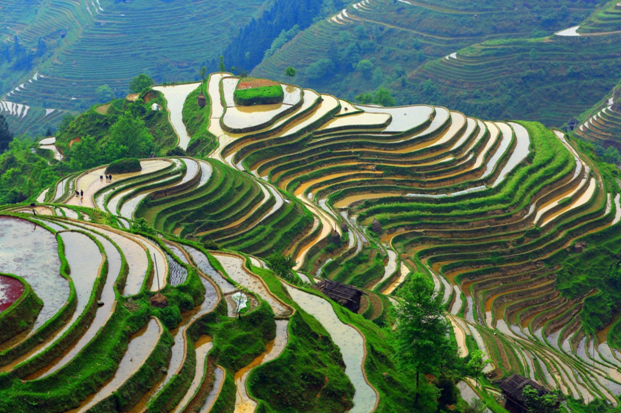 Guizhou joins New York Times 'places to go' list for 2016