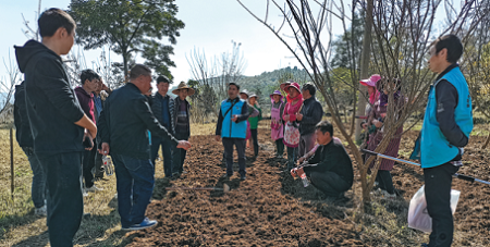 Guiyang villages reaping benefits of efforts