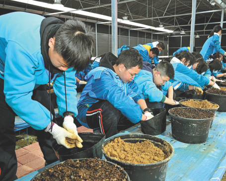 Edible fungus industry stimulates rural revitalization in Guiyang